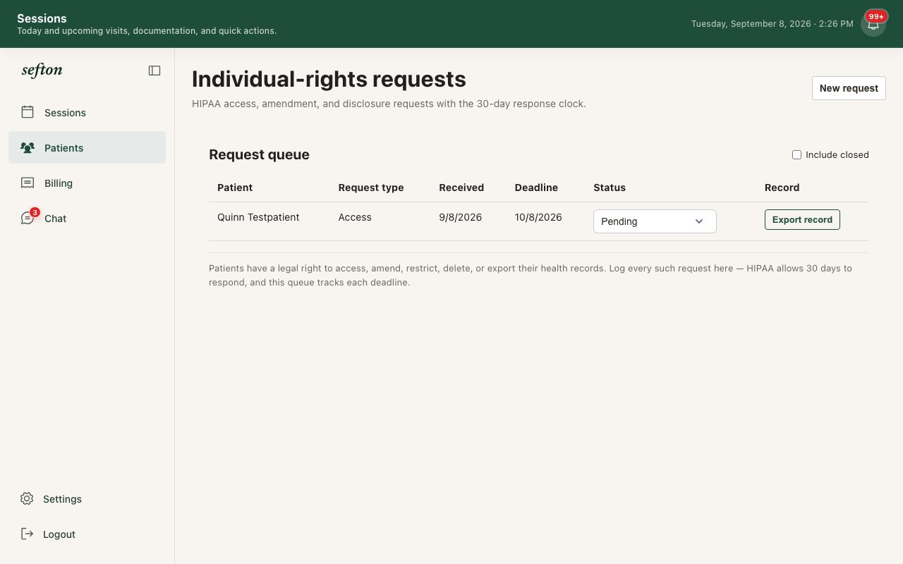 The Individual-rights requests table with type, deadline, status, and the Record export action.